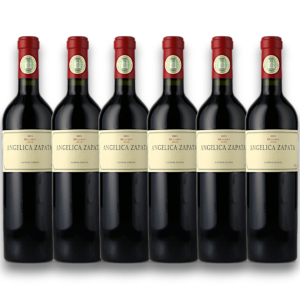 Kit 6 Angelica Zapata Malbec 2021