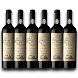 Kit 6 Gran Enemigo Gualtallary 2019