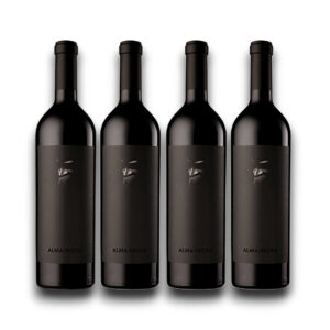 Kit 4 Alma Negra 2020